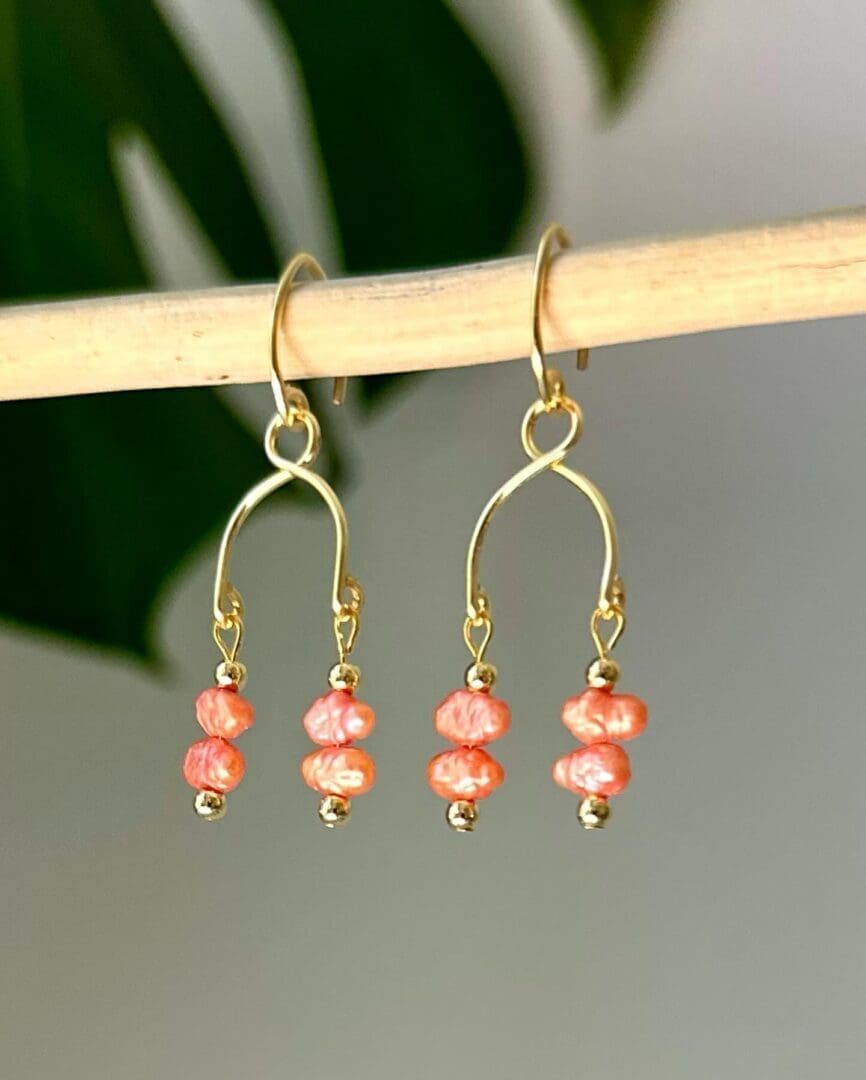 A pair of earrings hanging from a stick.