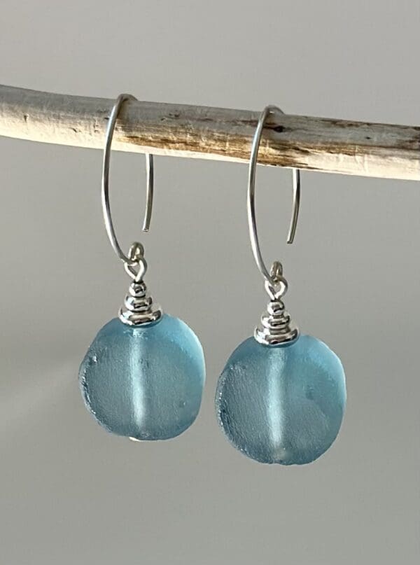 A pair of blue earrings hanging on a tree branch.